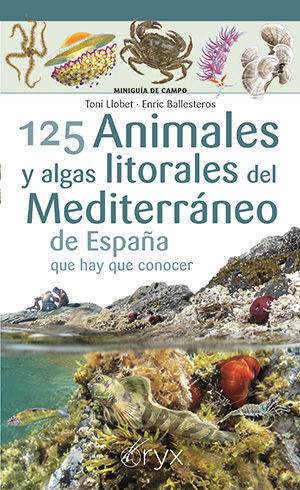 125 ANIMALES Y ALGAS LITORALES DEL MEDITERRÁNEO DE