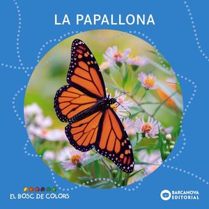 LA PAPALLONA (LLETRA PAL/LLIGADA)